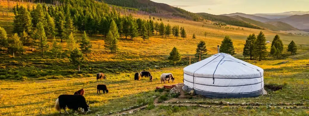 Mongolia Must-Reads: The Essential Books about Mongolia [UPDATED for 2022]