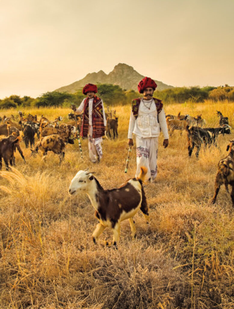 Nomadic Expeditions - Join us on a luxury group or private tour of India & immerse yourself in the people & places of this culturally rich country. Find your dream journey.