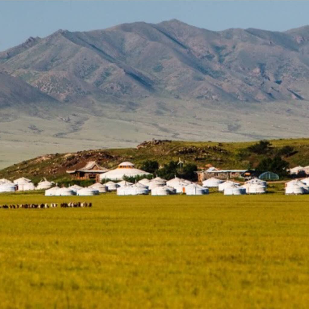 Three Camel Lodge, Gobi