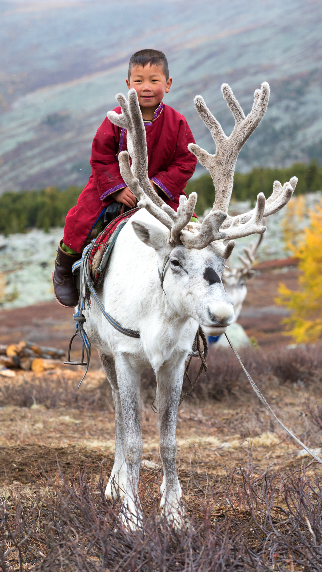 Nomadic Expeditions - Horseback Riding in Mongolia Journey