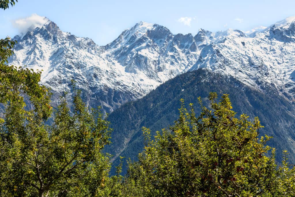 Beautiful Kinnaur Kailash Himalaya mountain range with apple trees in the foreground at Kalpa, Himachal Pradesh India